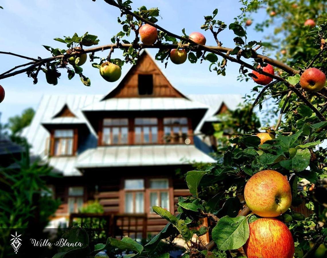 Bed and Breakfast Willa Blanca Zakopane Zewnętrze zdjęcie